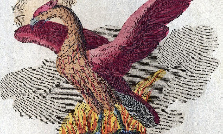 Selenium IDE rises like a phoenix from the ashes